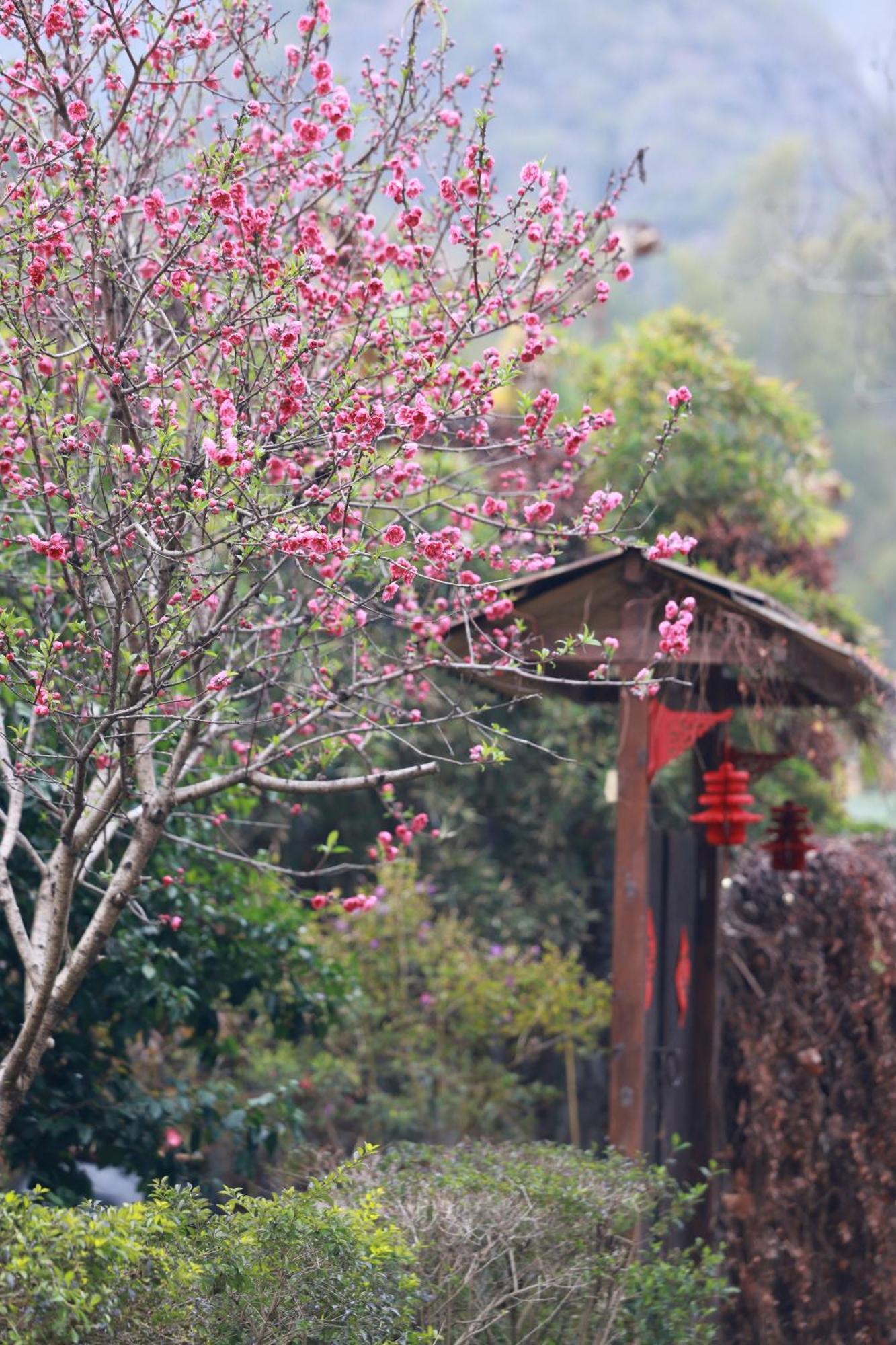 The Apsara Lodge Yangshuo Exterior foto